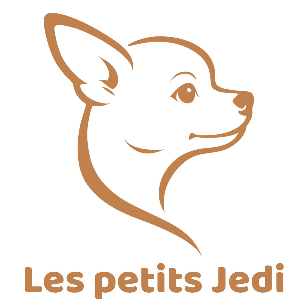 Logo Overlay
